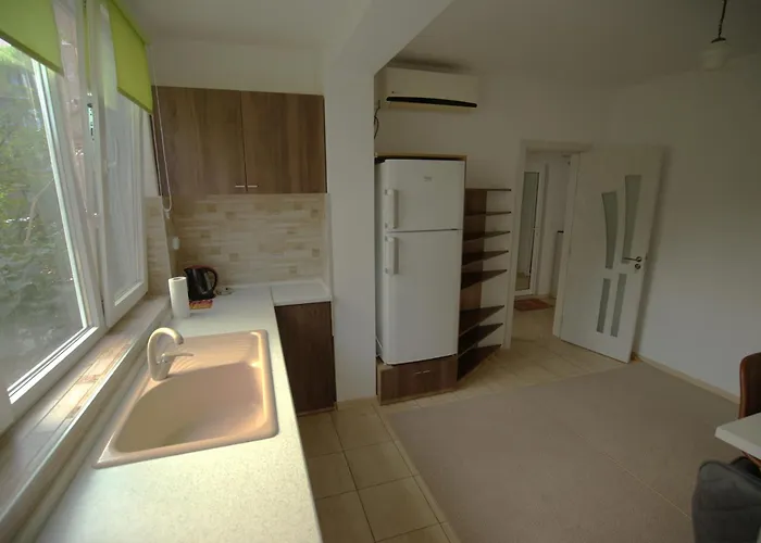 Emona 5 Floor 2 アパート *